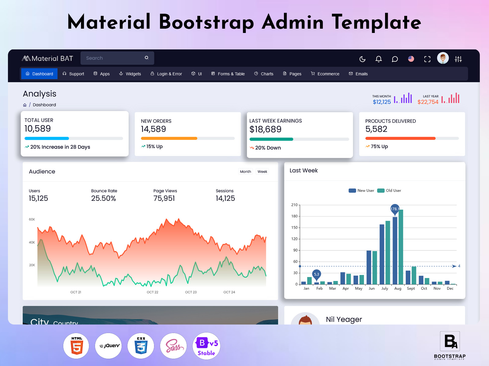 Admin Template